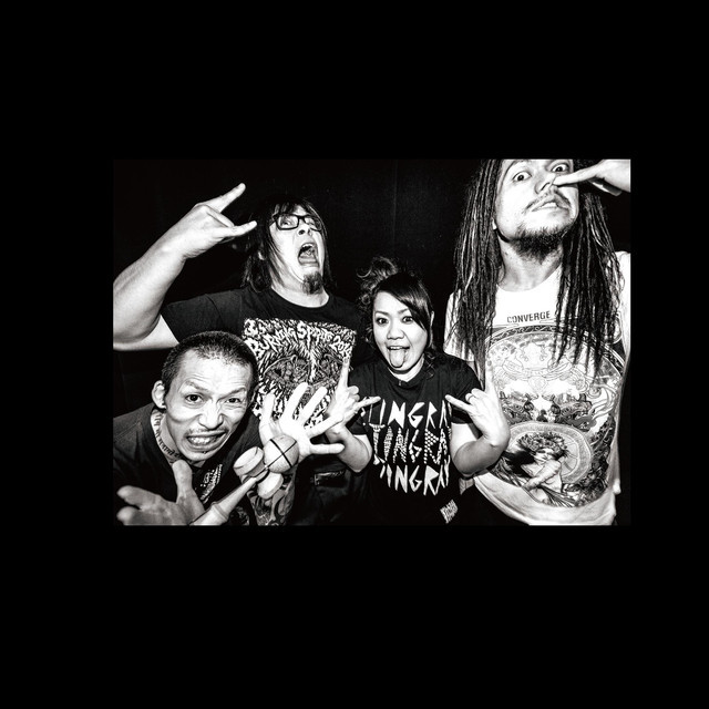 Maximum the Hormone